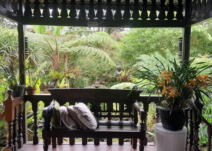 Rumah Kayu Sulawesi Antique